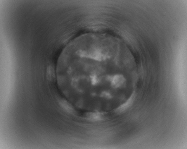 X0000114090182200910131304