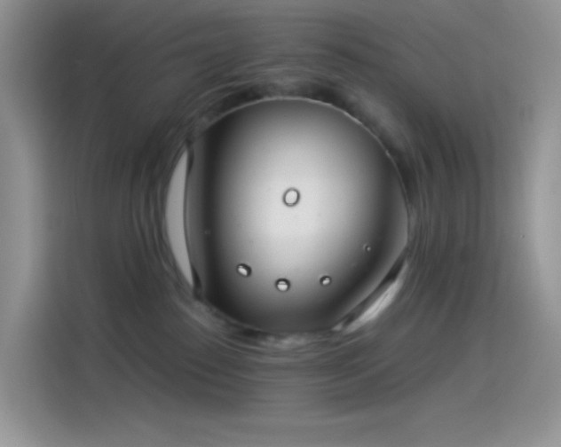 X0000114090186200910131304