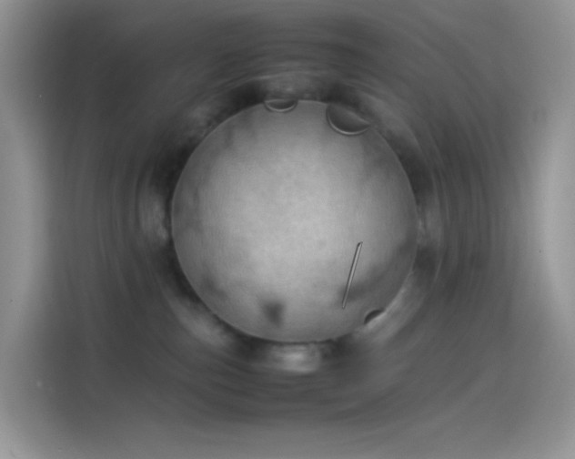 X0000114090187200910131304