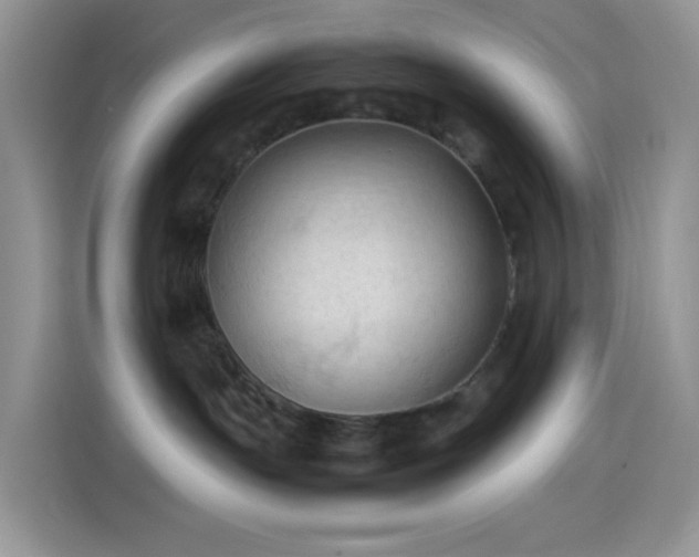 X0000114090191200910131304