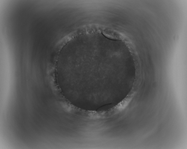 X0000114090192200910131304
