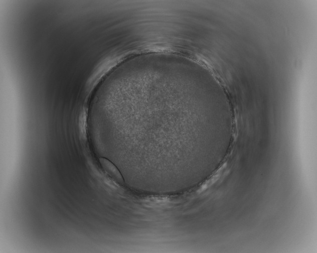 X0000114090194200910131303