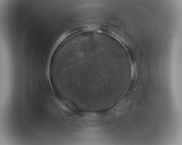 X0000114090195200910131303