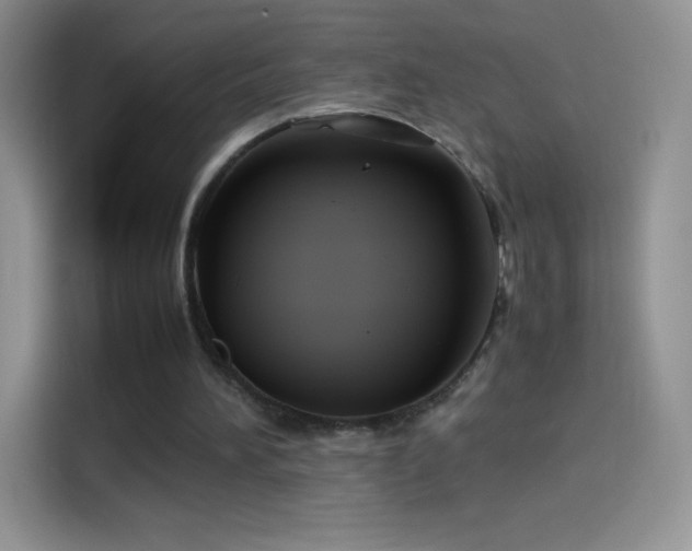 X0000114090196200910131303