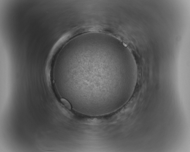 X0000114090197200910131303