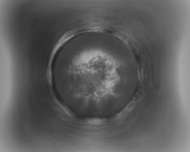 X0000114090198200910131303
