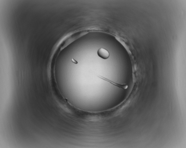 X0000114090200200910131303
