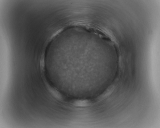 X0000114090202200910131303