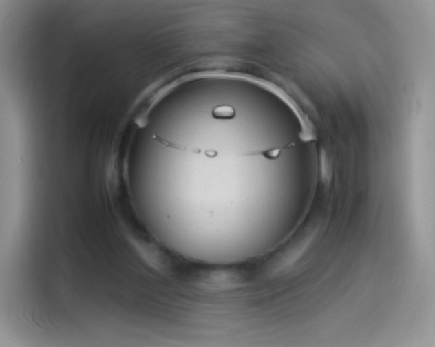 X0000114090204200910131303