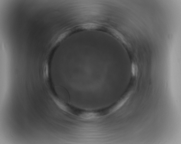 X0000114090205200910131303
