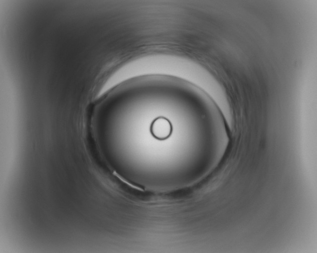 X0000114090207200910131303