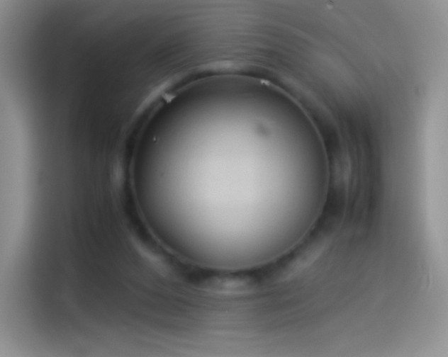 X0000114090208200910131303