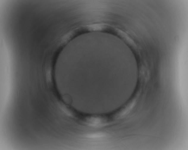 X0000114090209200910131303