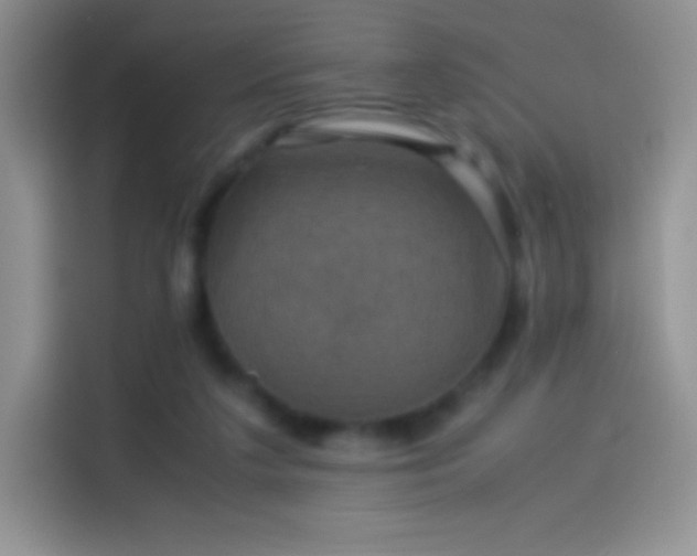 X0000114090211200910131303