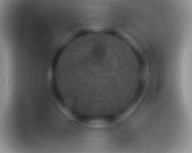 X0000114090213200910131303