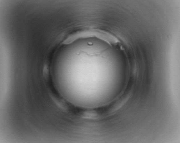 X0000114090214200910131303
