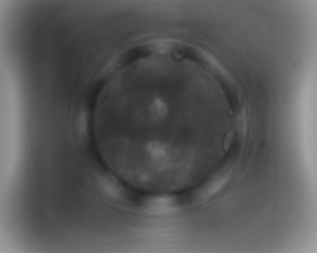 X0000114090217200910131303