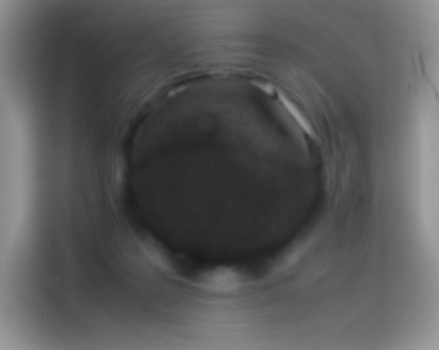 X0000114090219200910131303