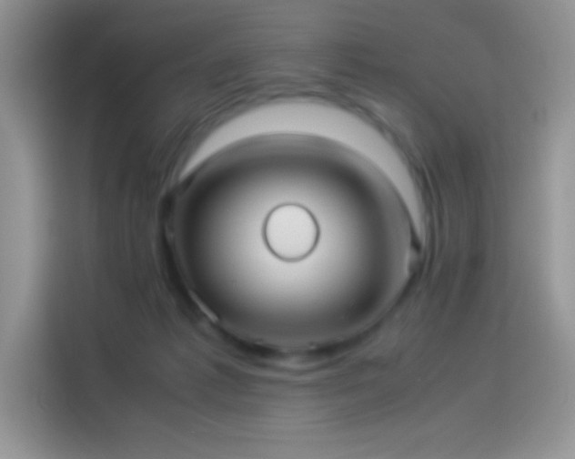 X0000114090221200910131303