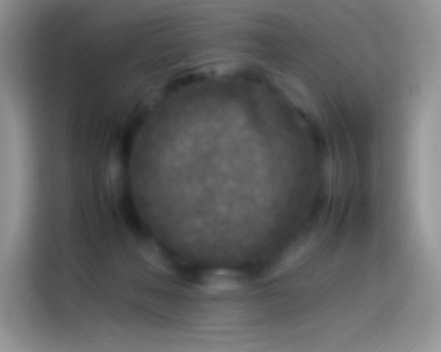 X0000114090222200910131303