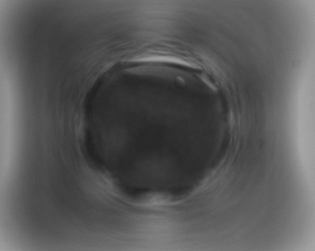 X0000114090223200910131303