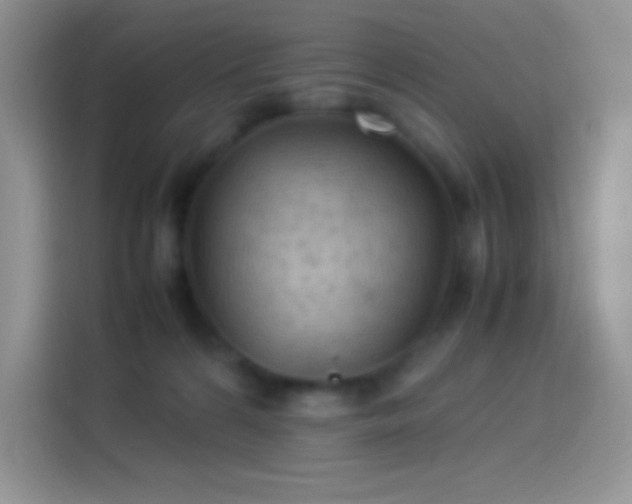 X0000114090224200910131303