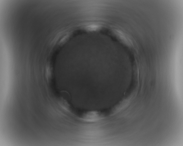 X0000114090227200910131303