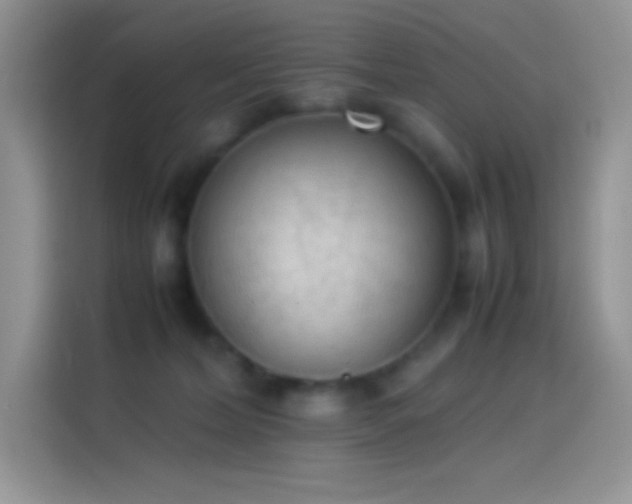 X0000114090228200910131303