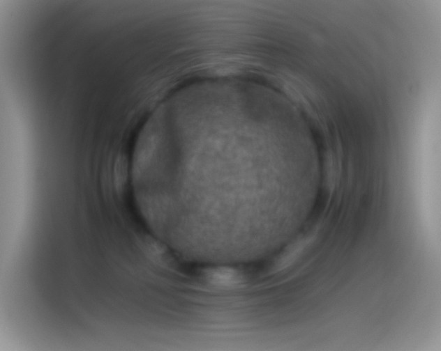 X0000114090230200910131303