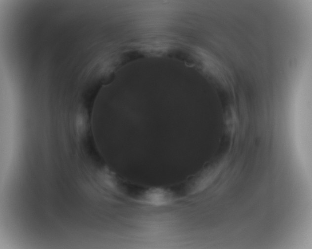X0000114090231200910131303
