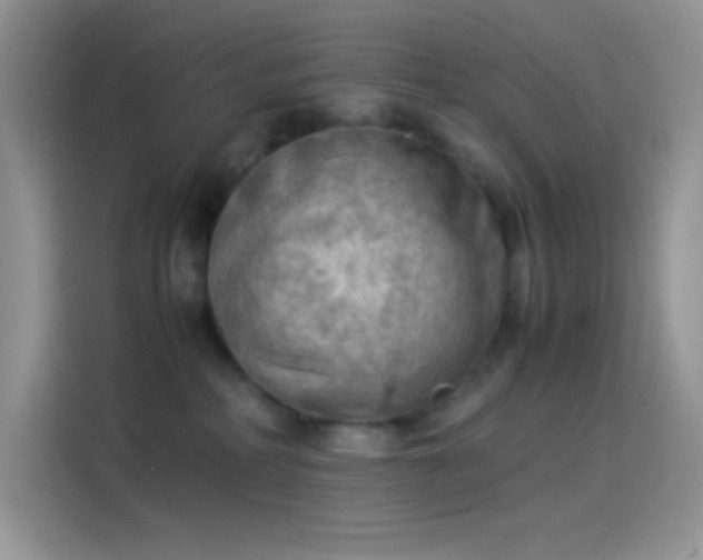 X0000114090234200910131303