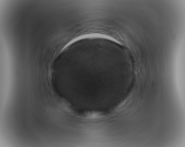 X0000114090235200910131303