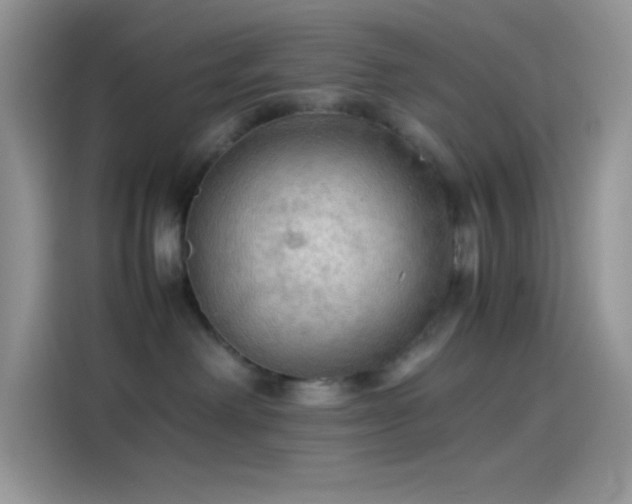 X0000114090238200910131303