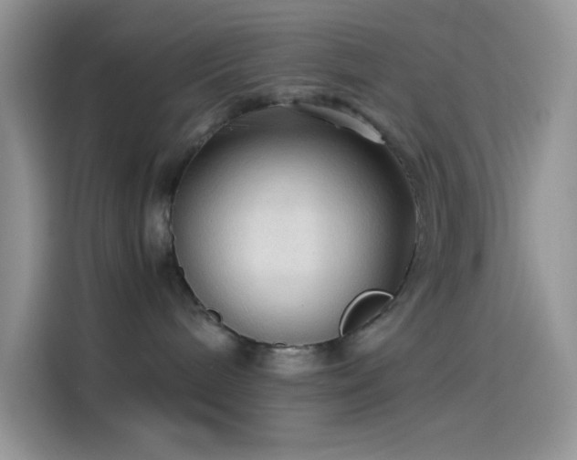 X0000114090240200910131303