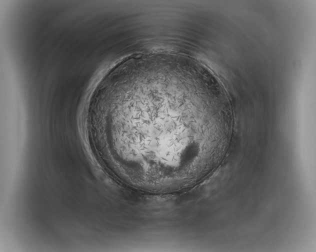 X0000114090241200910131302