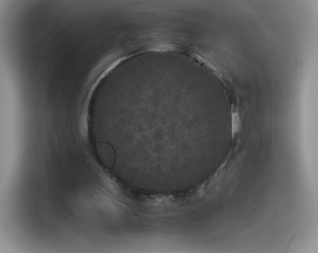 X0000114090243200910131302