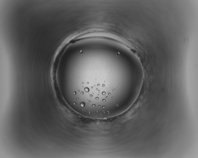 X0000114090244200910131302