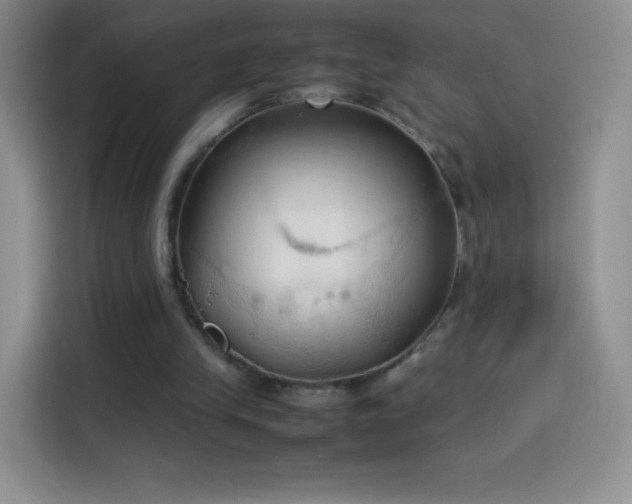 X0000114090245200910131302