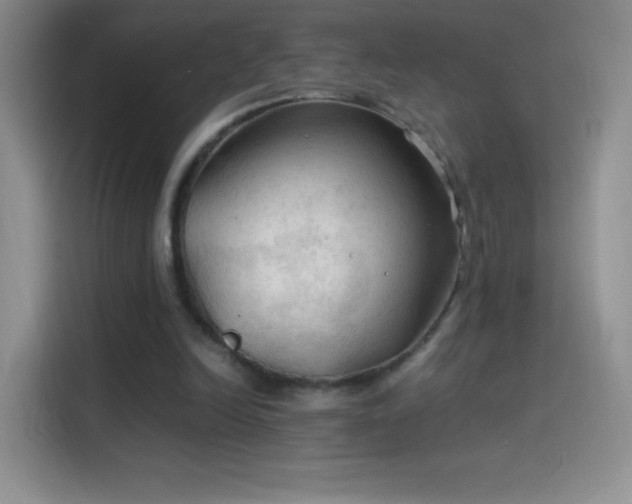 X0000114090246200910131302