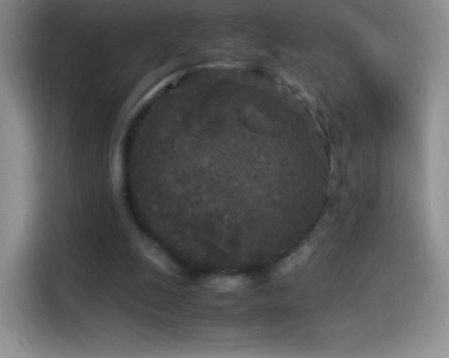 X0000114090247200910131302