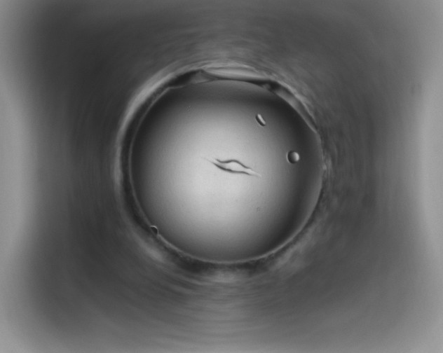 X0000114090248200910131302