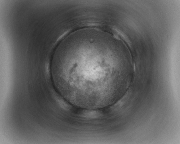 X0000114090249200910131302