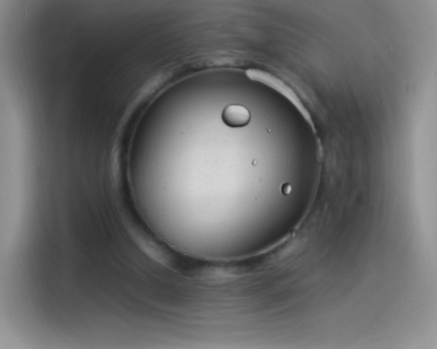 X0000114090250200910131302