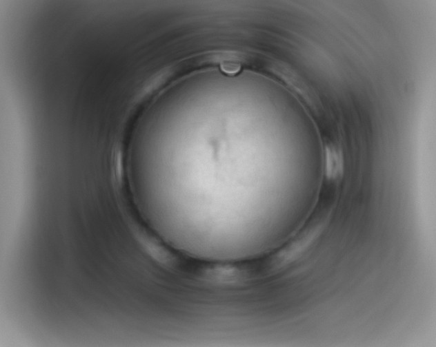 X0000114090253200910131302