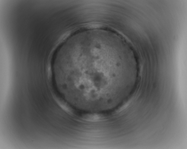 X0000114090254200910131302