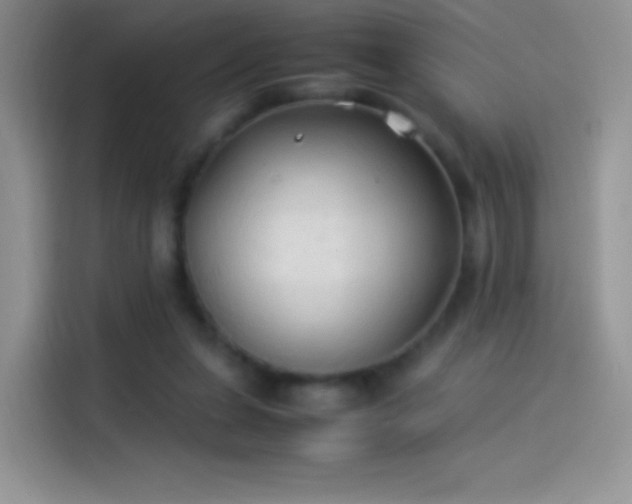 X0000114090255200910131302