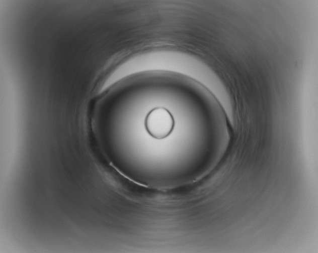 X0000114090256200910131302