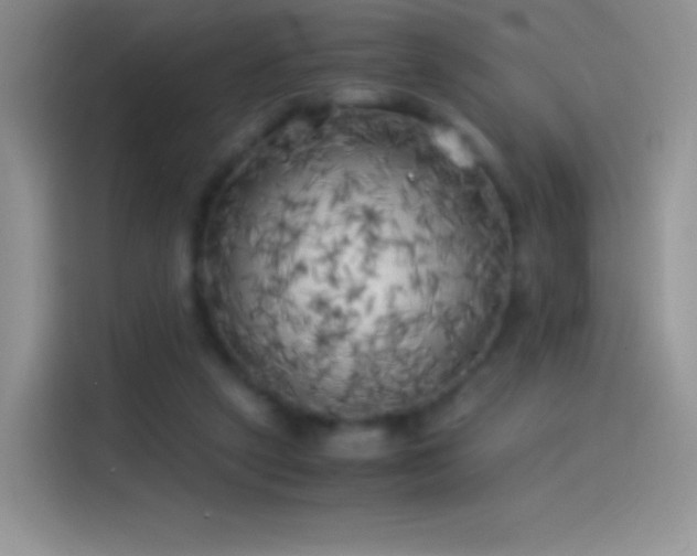 X0000114090257200910131302