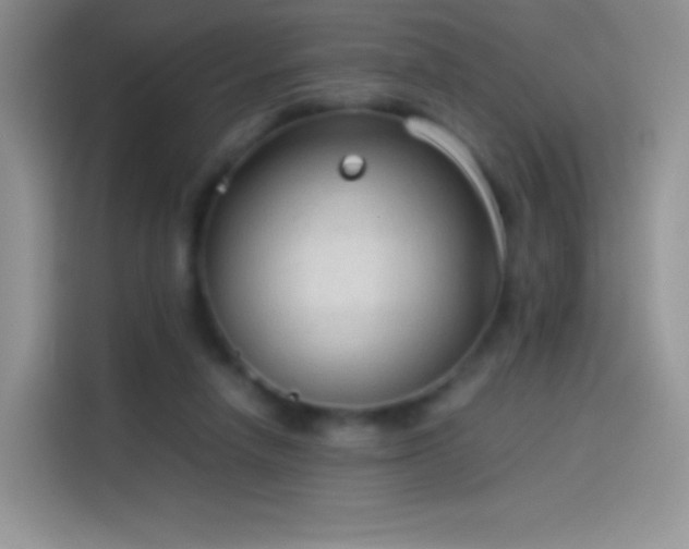 X0000114090258200910131302