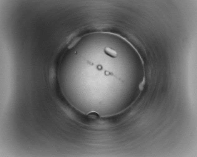 X0000114090260200910131302